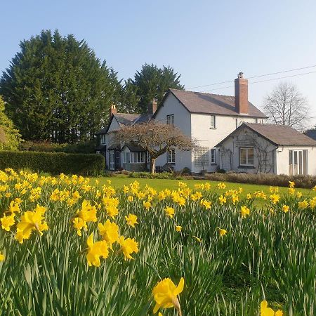 Lower House B&B Adforton Leintwardine Exterior photo